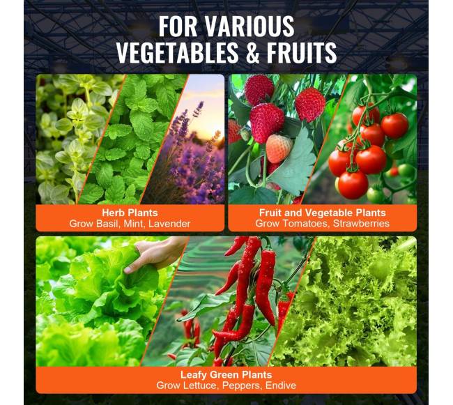 Giluminės kultūros hidroponinės auginimo sistemos kibiras5