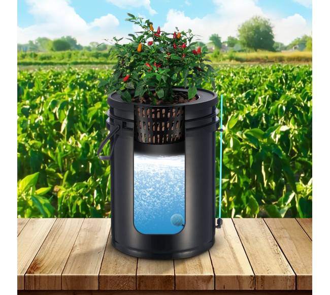 Giluminės kultūros hidroponinės auginimo sistemos kibiras7