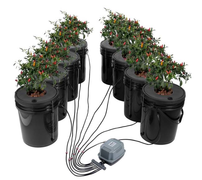 DWC hidroponinė auginimo sistema su 8 kibirais0