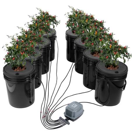 DWC hidroponinė auginimo sistema su 8 kibirais0