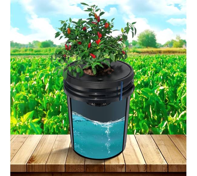 DWC hidroponinė auginimo sistema su 8 kibirais7