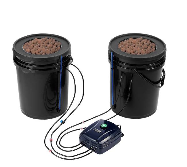 Dviejų kibirų DWC hidroponinė auginimo sistema9