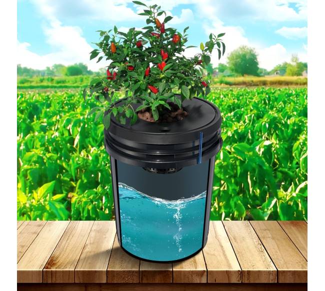 Hidroponinė sistema su 4 kibirais ir oro siurbliu7