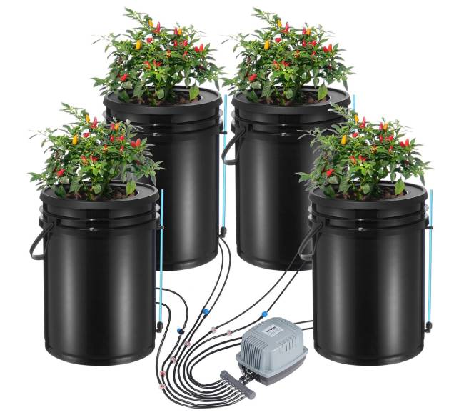 Hidroponikos sistema su laistymo kibirais0