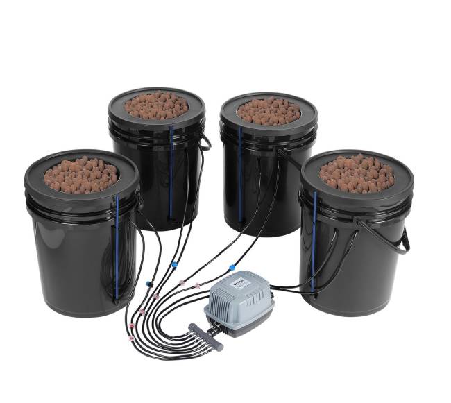 Hidroponikos sistema su laistymo kibirais9