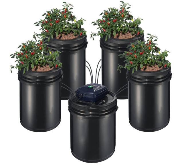 Hydroponinis RDWC sistema su 4 kibirais0