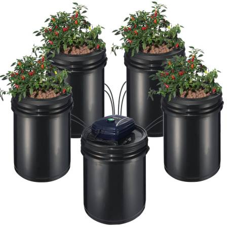 Hydroponinis RDWC sistema su 4 kibirais0
