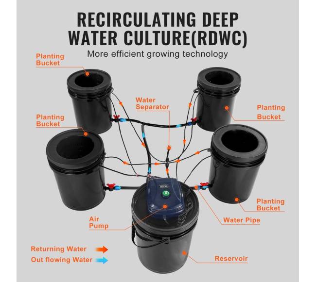 Hydroponinis RDWC sistema su 4 kibirais3