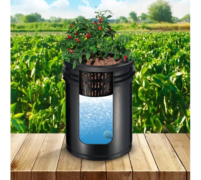 Hydroponinis RDWC sistema su 4 kibirais7