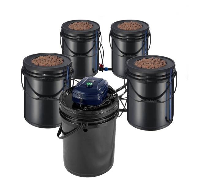 Hydroponinis RDWC sistema su 4 kibirais9