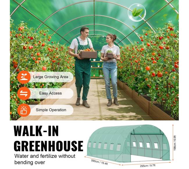 Tunelio tipo šiltnamis 590x295x198 cm su PE danga4