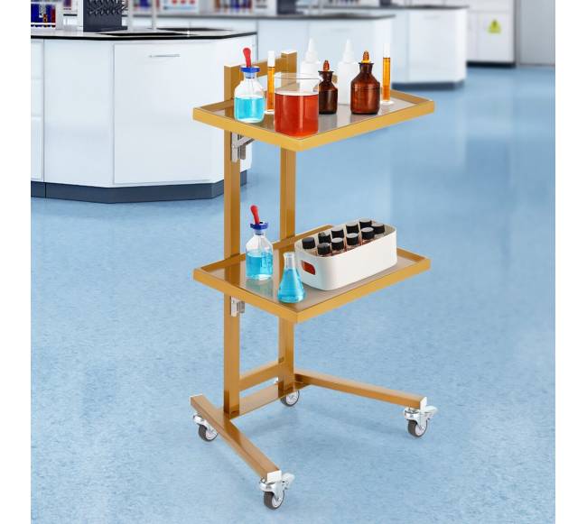 Dviejų aukštų nerūdijančio plieno vežimėlis7