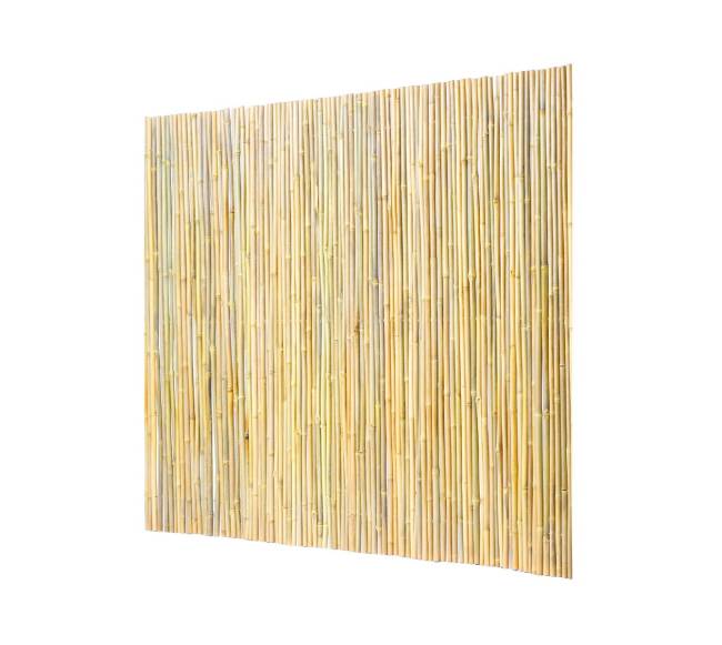 Natūrali bambuko tvora 2438 x 1219 mm9