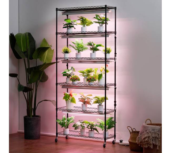 Augalų stovas su augimo lemputėmis7