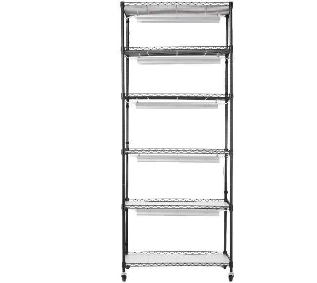 Augalų stovas su augimo lemputėmis9