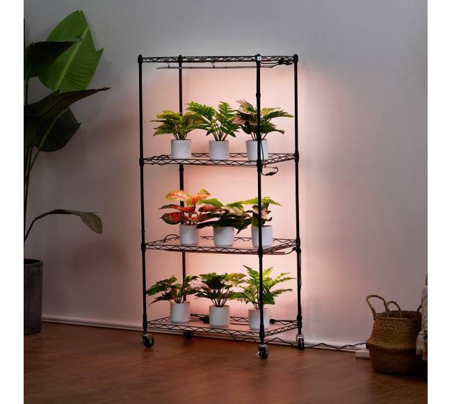 Augalų stovas su apšvietimu 4 juostos7