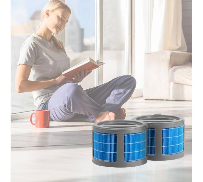 Dviejų vnt. drėkintuvo filtrai7