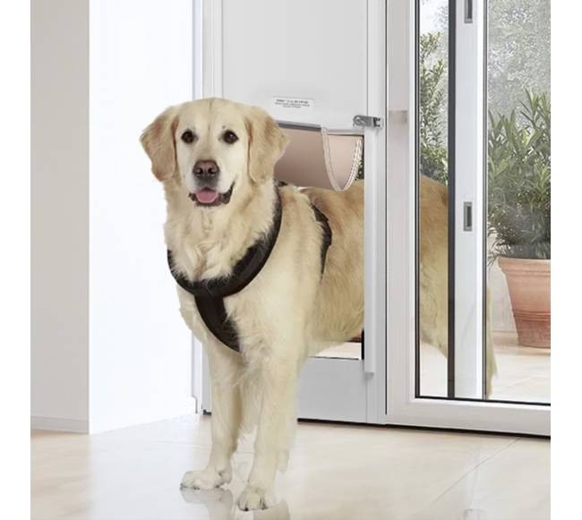 Šuns durys stumdomoms stiklinėms durims7