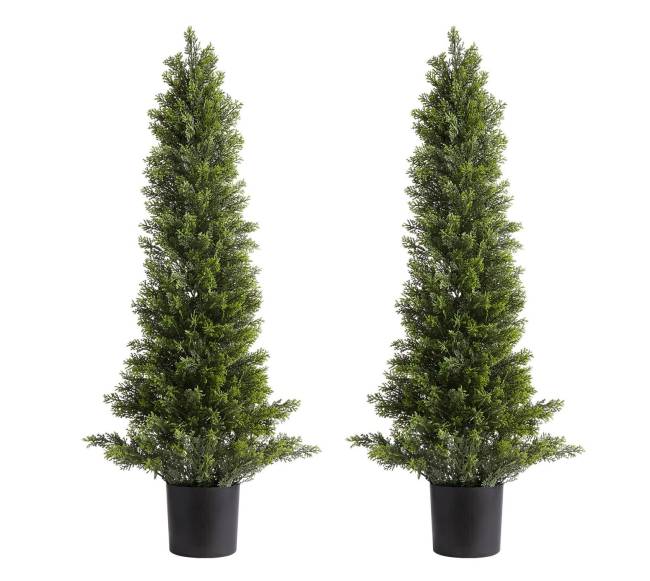 Dirbtiniai kadagiai, 2 vnt. rinkinys 914 mm0