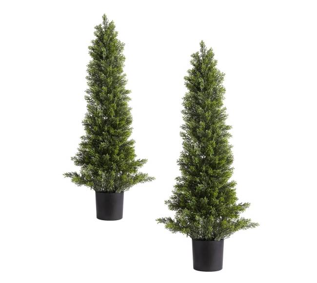 Dirbtiniai kadagiai, 2 vnt. rinkinys 914 mm9