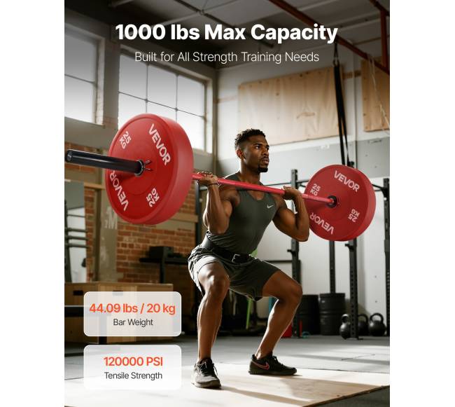 220 cm štanga su 2 colių diskais1