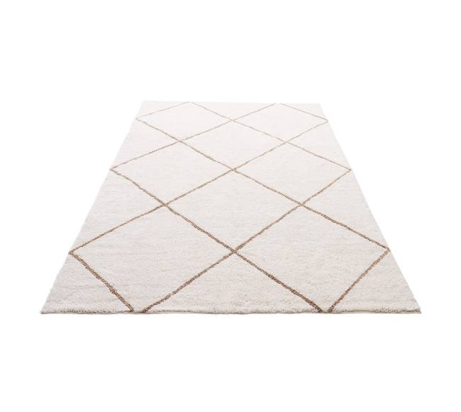 Vidaus pūkuotas kilimas 1.83 x 2.74 m9