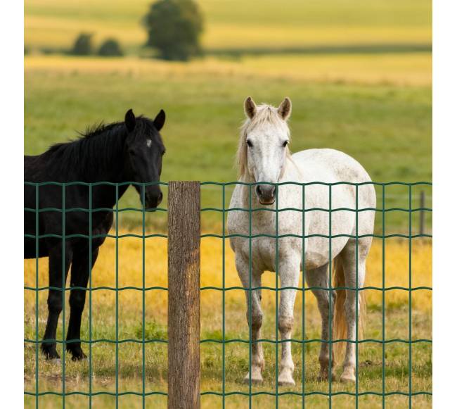 Galvota plieninė tvora gyvuliams7
