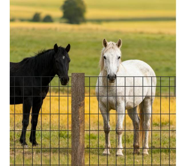 fermos tvora 122cm x 15.2m 14 gabaritas7