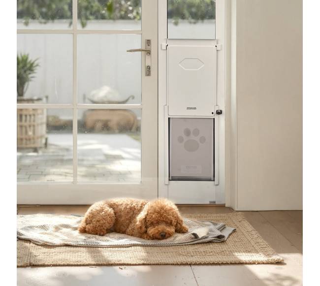 Stiklo durys šunims stumdomoms durims7