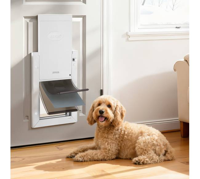 Vidutinio dydžio naminių gyvūnų durys su magnetiniais sklendėmis7