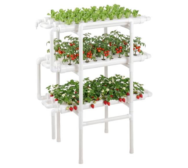 3 pakopų hidroponinė auginimo sistema0