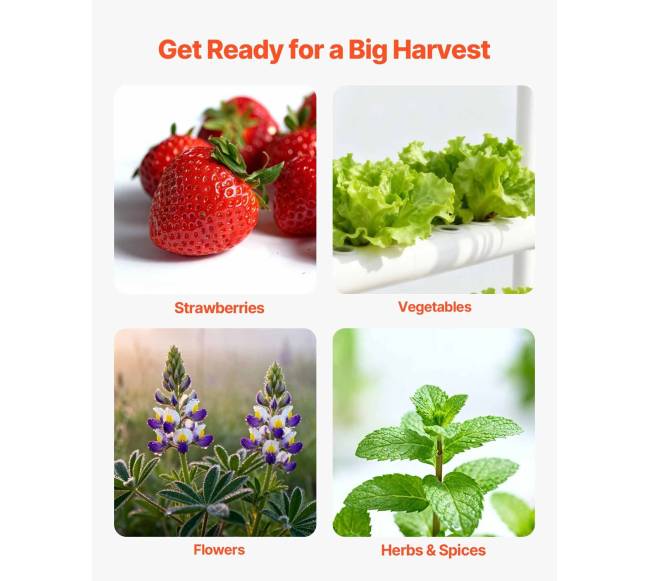 3 pakopų hidroponinė auginimo sistema5