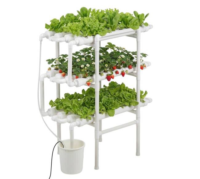 3 pakopų hidroponinė auginimo sistema10