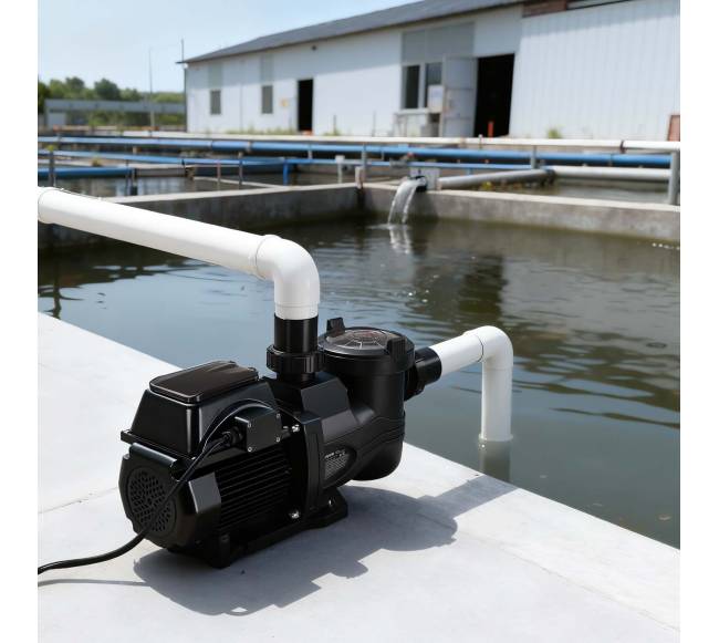 Kintamojo greičio baseino siurblys, 1650 W, 220-240V7