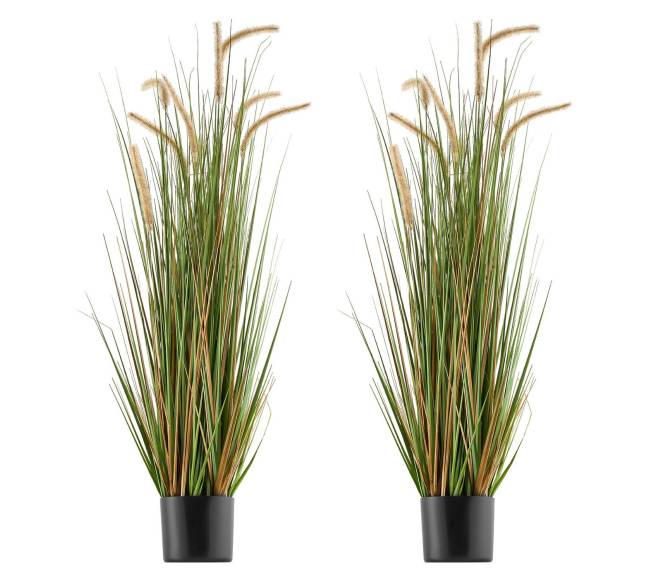 Dirbtinė viksvuolė vazonėlyje, 2 vnt.9