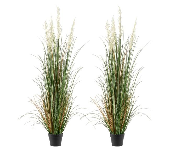 Dirbtinė žolė vazone viduje ir lauke0