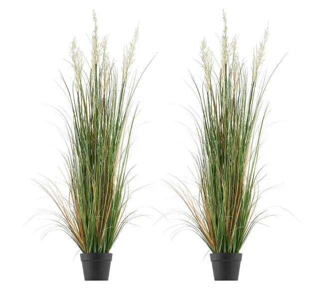 Dirbtinė žolė su nendre puode, 2 vnt.9