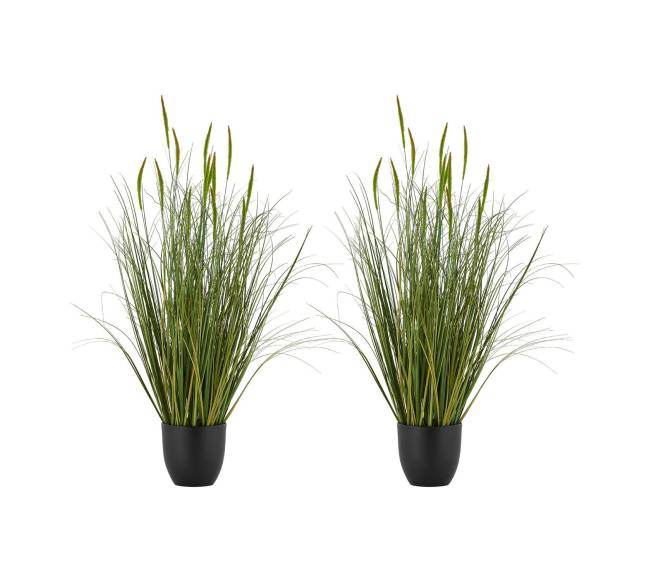 Dirbtinės žolės augalas su vazonu, komplektas0