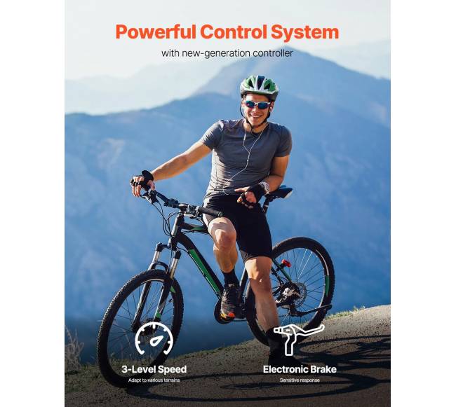 450W elektrinio DC variklio rinkinys su valdikliu3