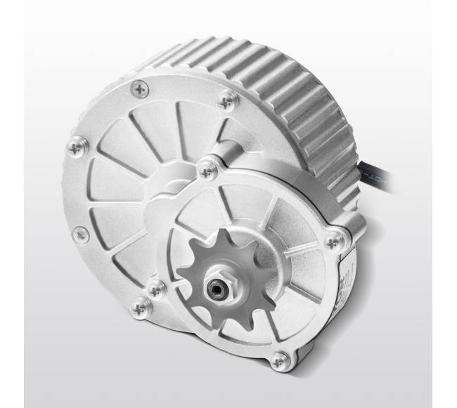 450 W elektrinis variklio rinkinys 36 V 3000 aps.min.7