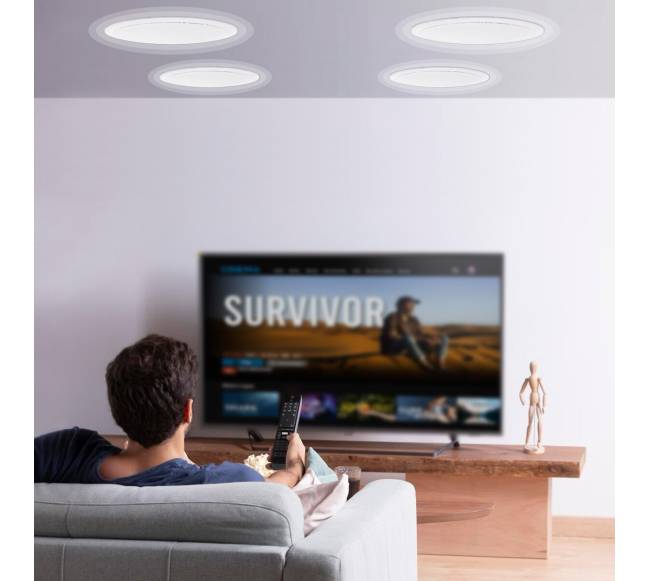 4 vnt. 20 cm lubiniai garsiakalbiai 100W7