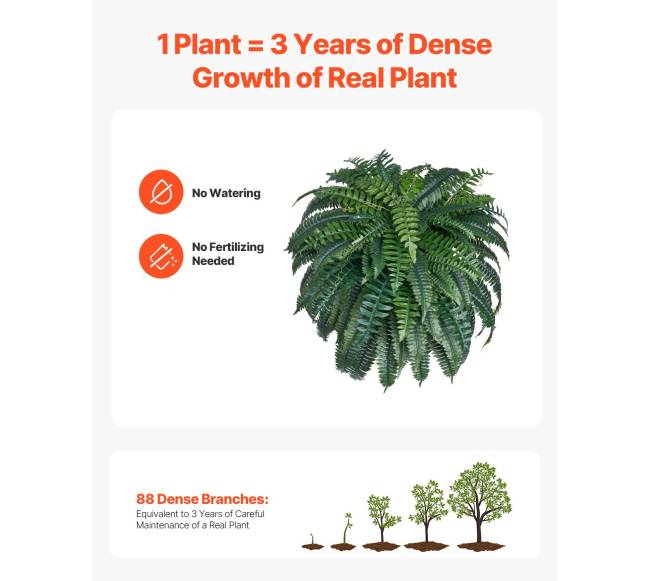 Dirbtinis Bostono papartis su 88 šakelėmis3