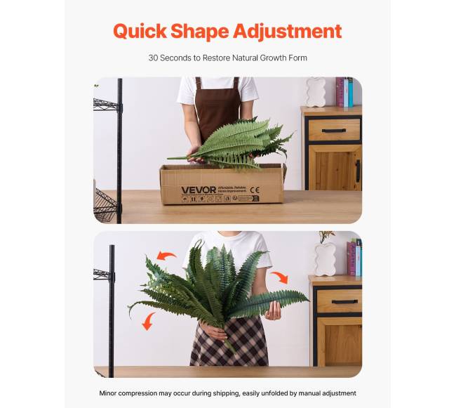 Dirbtinis Bostono papartis su 88 šakelėmis5