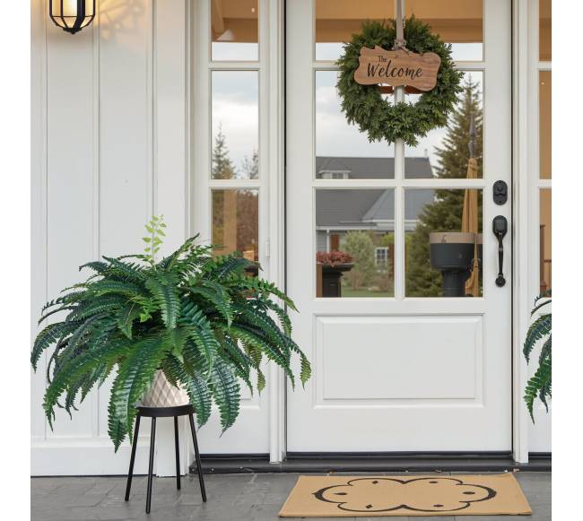 Dirbtinis Bostono papartis su 88 šakelėmis7