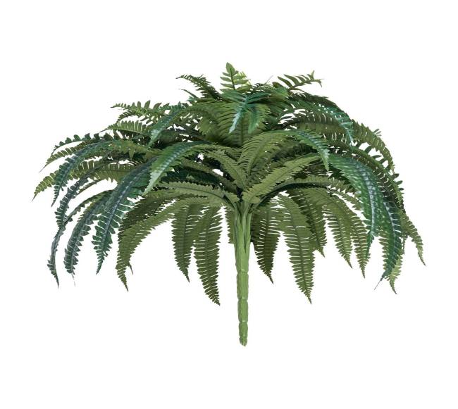 Dirbtinis Bostono papartis su 88 šakelėmis9