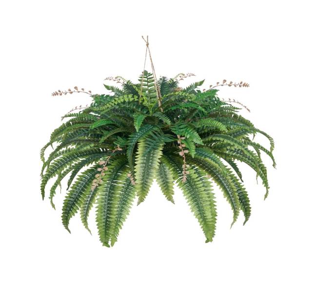 Dirbtinė Bostono papartis 80 šakų dekorui0