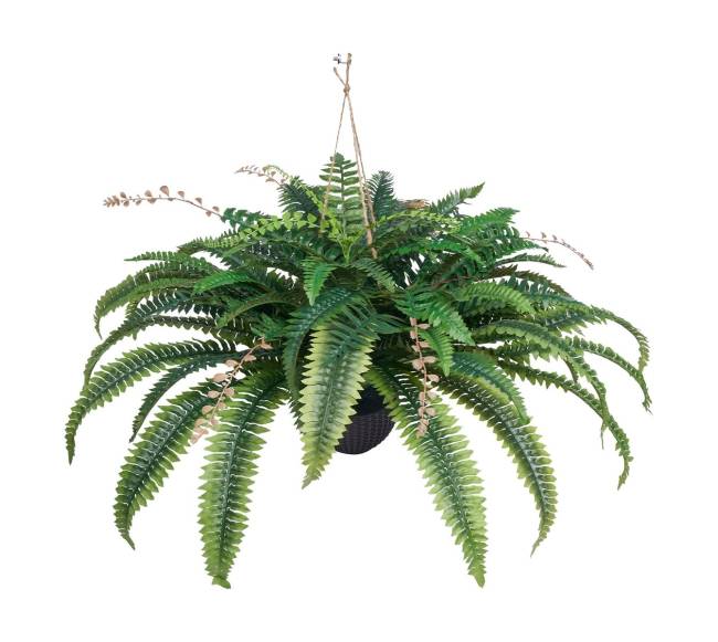 Dirbtinė Bostono papartis 80 šakų dekorui10