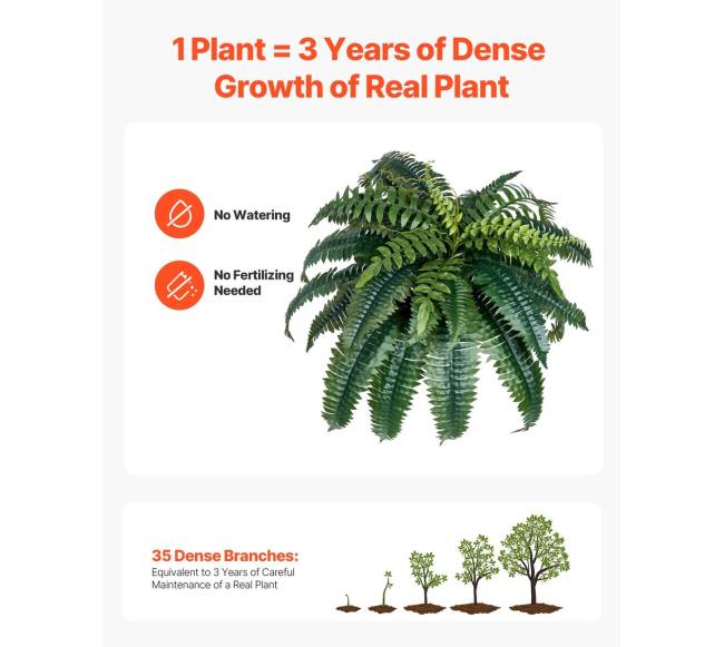 2 vnt. dirbtinių Bostono paparčių 35 šakos3