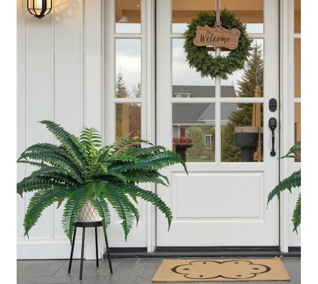 2 vnt. dirbtinių Bostono paparčių 35 šakos7