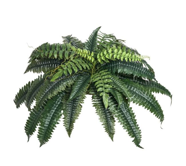 2 vnt. dirbtinių Bostono paparčių 35 šakos8